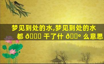 梦见到处的水,梦见到处的水都 🍁 干了什 🌺 么意思